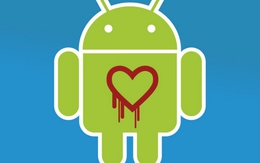 Hàng triệu người dùng Android vẫn gặp nguy hiểm vì Heartbleed