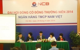 [Trực tiếp] ĐHCĐ Ngân hàng Nam Việt: Không muốn thành ngân hàng lớn