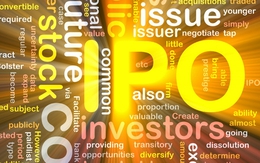 Các đợt IPO lớn trong 8 tháng đầu năm: Những điều đọng lại