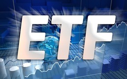 “Soi” danh mục gần 9.000 tỷ của FTSE Vietnam ETF trước ngày review