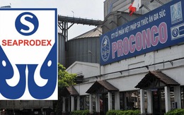 IPO Seaprodex: Khoản đầu tư giá trị nhất là 17,5% cổ phần của Cám Con Cò