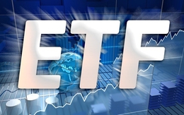 Review danh mục FTSE Vietnam ETF: SSI vào rổ, 3 cổ phiếu VSH, DRC và STB bị loại