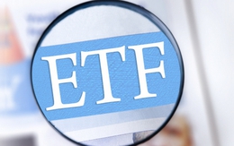Review danh mục VNM ETF: Thêm SSI, Loại 2 cổ phiếu nước ngoài