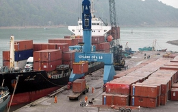 “Hiện tượng lạ” Cảng Nghệ Tĩnh: Đăng ký mua bằng 2,2 lần lượng đấu giá