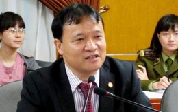 Thứ trưởng Đỗ Thắng Hải: 'Hàng xóm nhà tôi bảo giá điện giảm nhiều'