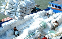 Xuất khẩu gạo Việt Nam bị Thái Lan bỏ xa