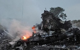 Vợ chồng người Malaysia 2 lần thoát chết khi từ chối máy bay MH17