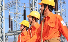 Nhật Bản quan tâm đến các dự án điện tại Việt Nam