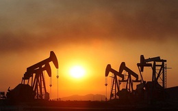 Giá dầu Mỹ và toàn cầu biến động trái chiều