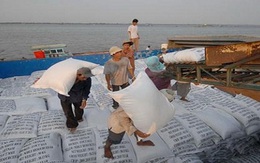 Gạo Việt thua đau dù giá thấp nhất