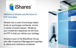 VIC, MSN, STB, DPM, VCB, CTG, BVH lọt vào danh mục quỹ ETF mới của iShares