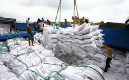 Xuất khẩu gạo 2013: Dự kiến sẽ đối diện nhiều khó khăn