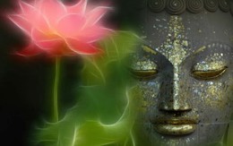 Biểu tượng hoa sen trong đạo Phật có ý nghĩa gì?