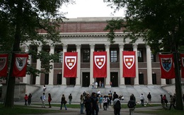 Đại học Harvard rúng động vì bê bối gian lận thi cử lịch sử