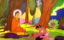 Đức Phật và hạt cải vô thường