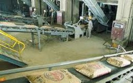 2 doanh nghiệp Xi măng QNC, BCC báo lãi 2012