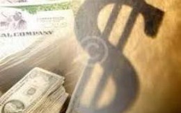 VNF, ALT: Quý I/2013 lãi ròng tăng nhẹ