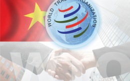 Hậu WTO: Muốn thành “người lớn” không thể bất cẩn