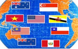 TPP bước vào vòng đàm phán quyết định