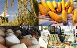Xác định rõ thế mạnh nông sản trước thách thức hội nhập WTO 