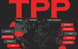 Câu chuyện TPP từ Nhật