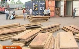 Những tình tiết bất thường trong hoạt động nhập khẩu gỗ
