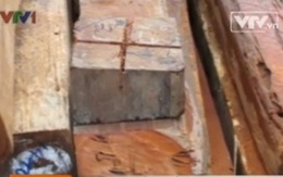 Phát hiện thêm sai phạm của công ty Bảo Ngọc Bình Phước về nhập khẩu gỗ