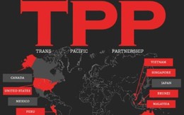 Việt Nam đã có phương án cuối cùng đàm phán TPP 