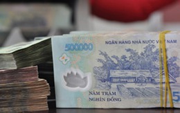 Nhiều nhà đầu tư nước ngoài "xếp hàng" mua nợ xấu