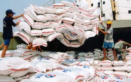 Xuất khẩu gạo sang Trung Quốc: Số lượng lớn, rủi ro cao 