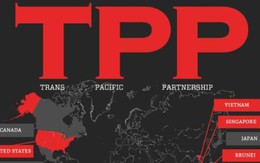 Nhiều doanh nghiệp chưa nhận thức đầy đủ về TPP