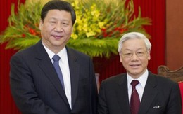 Tổng Bí thư Nguyễn Phú Trọng điện đàm với Chủ tịch Tập Cận Bình