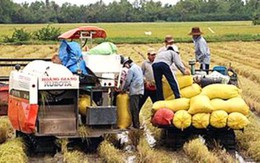 Tái cơ cấu, tạo chuyển biến mạnh mẽ nông nghiệp