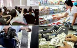 Kinh tế Việt Nam 2014: Niềm tin và sự hồi sinh