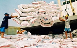 VFA tiếp tục đặt mục tiêu xuất khẩu 7 triệu tấn gạo