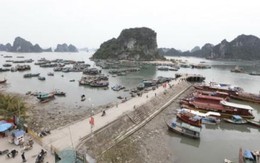 Việt Nam mở đặc khu kinh tế như Thâm Quyến?