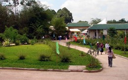 Công bố thành lập thị xã Bến Cát thuộc tỉnh Bình Dương