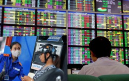 Cơ hội kiếm lãi cho nhà đầu tư lúc này là như nhau Cơ hội kiếm lãi cho nhà đầu tư lúc này là như nhau