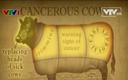 Mỹ: Phát hiện cơ sở dùng thịt bò bị ung thư chế biến thức ăn