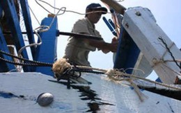 Đâm chìm tàu cá Việt Nam, Trung Quốc vi phạm luật pháp quốc tế