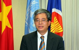 Thứ trưởng Bộ Ngoại giao Việt Nam: Việt Nam kiên quyết bảo vệ chủ quyền lãnh thổ