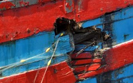 Việt Nam 7 ngày: Công bố chứng cứ tàu Trung Quốc đâm chìm tàu cá Việt Nam