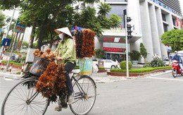 Sẽ có “siêu bộ” quản lý các tập đoàn