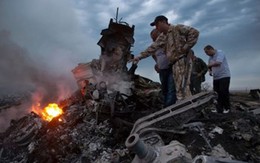 Nhiều thông tin khác nhau về nguyên nhân vụ rơi máy bay MH17