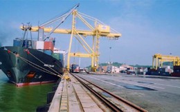Khảo sát thành lập Chi cục Hải quan cửa khẩu cảng Nghi Sơn