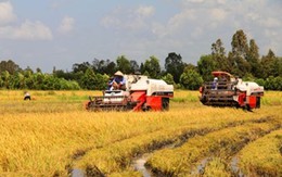 Cho vay nông nghiệp - Cuộc đua mới của các ngân hàng thương mại