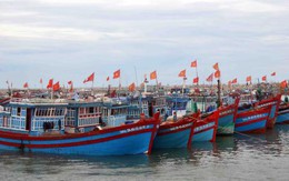 Ngư dân Quảng Ngãi chưa mấy mặn mà với tàu vỏ thép