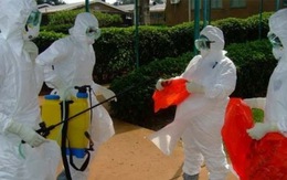 Thủ tướng họp khẩn với các bộ về dịch Ebola