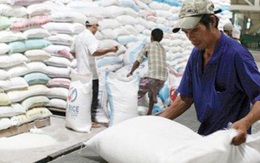 Thương hiệu cho gạo Việt Nam: Ai làm và làm sao? 