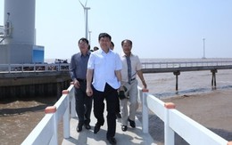 Dự án điện gió lớn nhất Việt Nam đã lên lưới điện Quốc gia